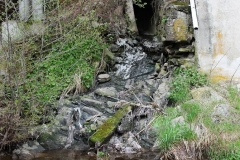 l6